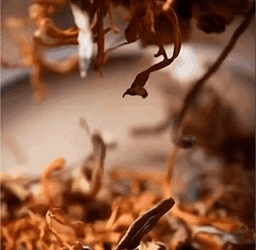 1761190342694697.gif